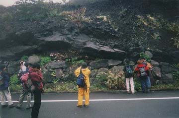 lavacar.jpg