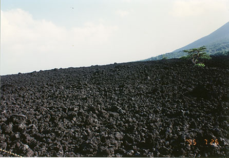 iwt111.jpg