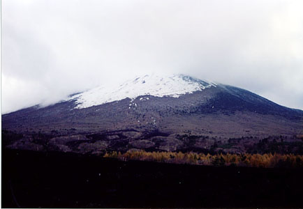 iwt112.jpg